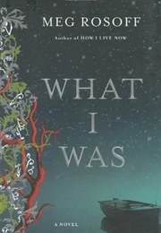 What I Was (Meg Rosoff)