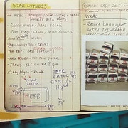 Star Witness - Neko Case