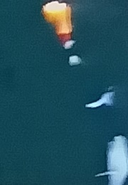 Coolio Feat. L.V.: Gangsta's Paradise (1995)