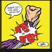 Shawn Lee's Ping Pong Orchestra - Hey Ya