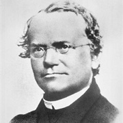Gregor Mendel Formulates His Laws of Inheritance 1865
