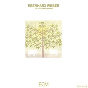 Eberhard Weber - The Following Morning
