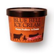 Blue Bell Pecan Pralines N' Cream