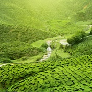 Arkansas' Ozarks, Arkansas, USA