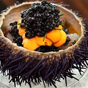 Caviar Urchin