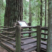 Lewis and Clark State Park