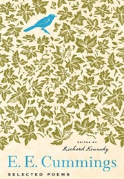 Selected Poems (E.E. Cummings)