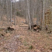 Evil Dead Scene, Morristown