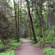 Bridle Trails State Park