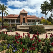 University of Arizona