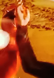 Tommy Oliver and the Fighting Spirit (2015)