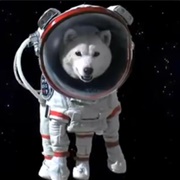 Astro Dog