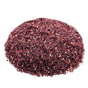 The Whistling Kettle Hibiscus