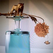 Gallipoli (Beirut, 2019)