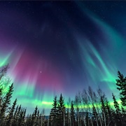 Northern Lights