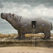 Hippo House
