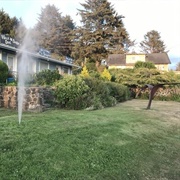 Bazalgette the Whale, OR