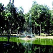 Parque Da Luz