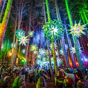 Electric Forest Festival, Rothbury, Michigan
