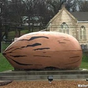 World's Largest Pecan