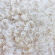 Wool