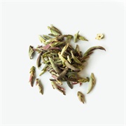 Rishi Tea Wild Silver Needles