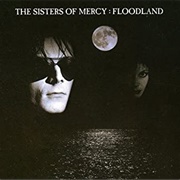 The Sisters of Mercy - Floodland