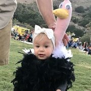 Baby Ostrich Costume