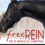Free Rein the 12 Neighs of Christmas
