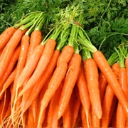 Orange Vegetables