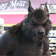 Werewolf of Fever Swamp - Goosebumps 2