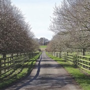 Thorpe Underwood, Yorkshire, England
