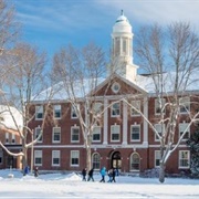 University of Maine