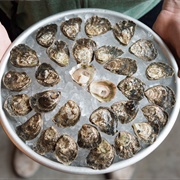 Olympia Oysters