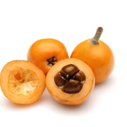 Loquat