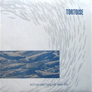 Tortoise- The Taut and Tame