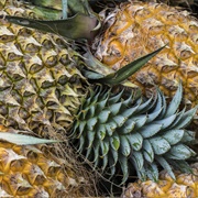 Try Antigua Black Pineapple in the West Indies