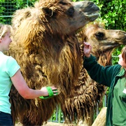 Be a Zookeeper for a Day