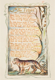 'The Tyger' (William Blake)