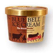 Blue Bell the Great Divide