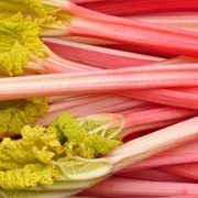 Champagne Rhubarb