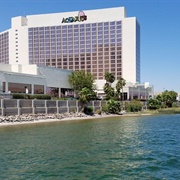 Aquarius Casino, Laughlin, NV