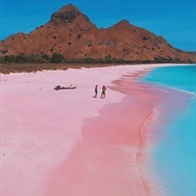 Pink Beach, Komodo, Indonesia