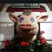 Clover the Cow