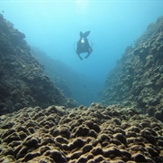 Dive in the "Toilet Bowl", Okinawa