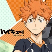 Shoyo Hinata . Haikyuu!!