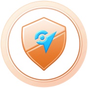 Gym Leader (Bronze)