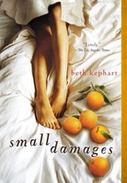 Small Damages (Beth Kephart)