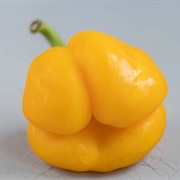 Ugly Yellow Pepper