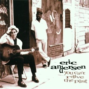 Eric Andersen You Can't Relive the Past